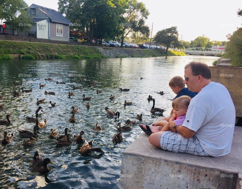 Feeding the ducks with daddy 