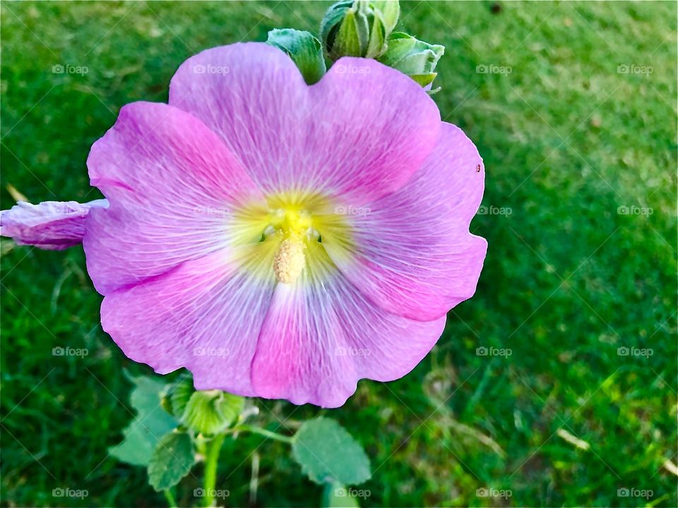 Upload photos of the month March