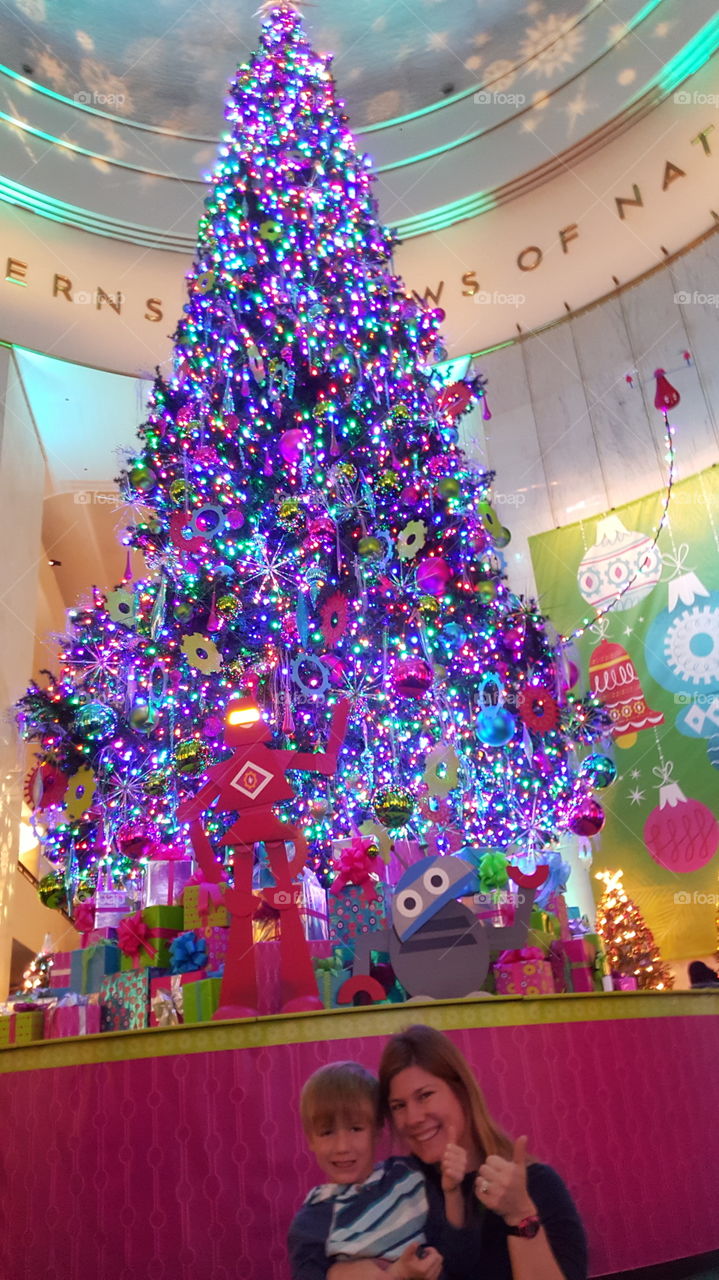 Christmas, Celebration, Fun, Decoration, Christmas Tree