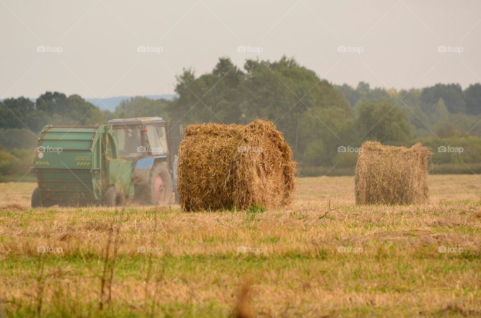 harvesting of straw