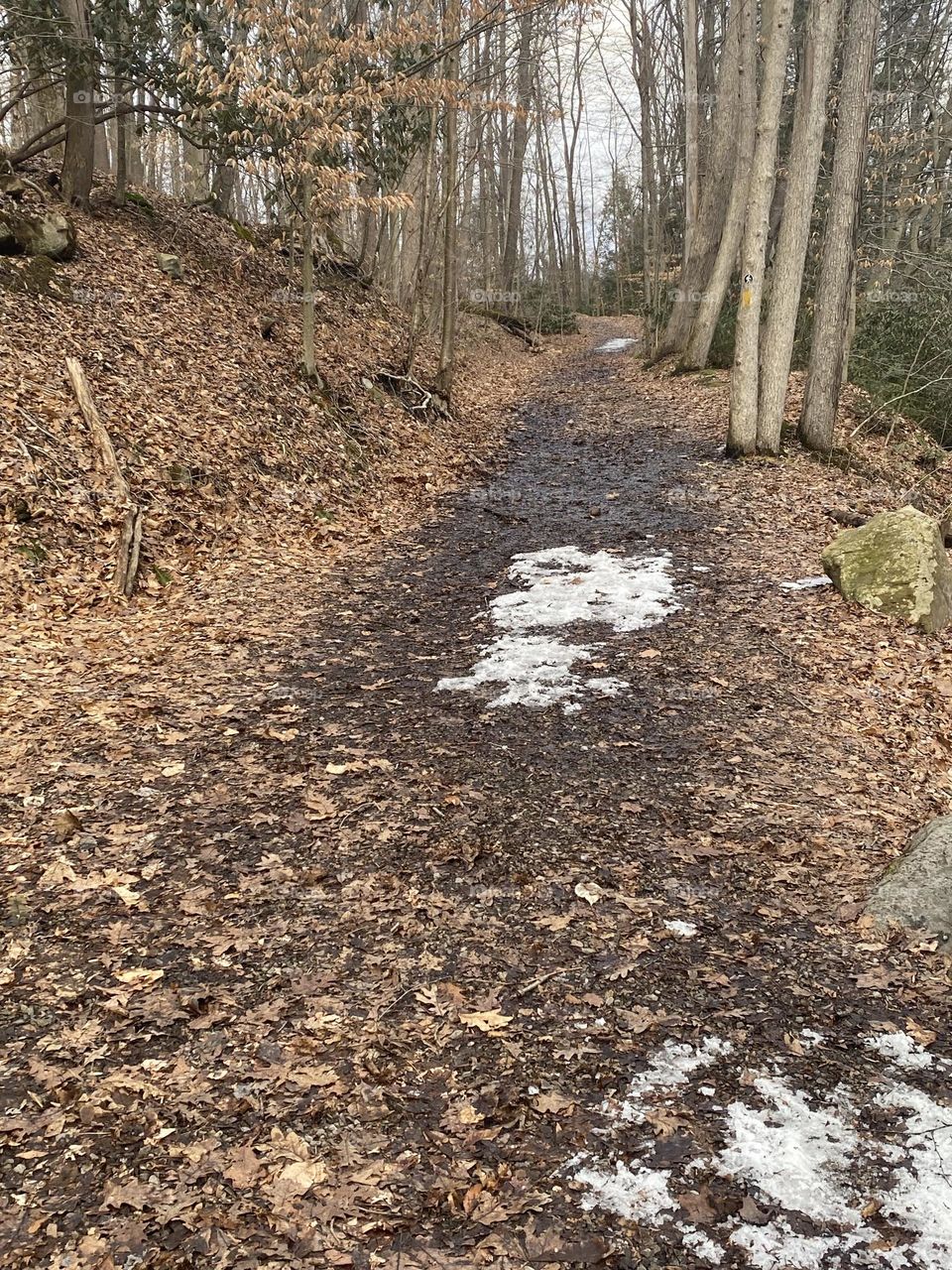 The road less traveled 