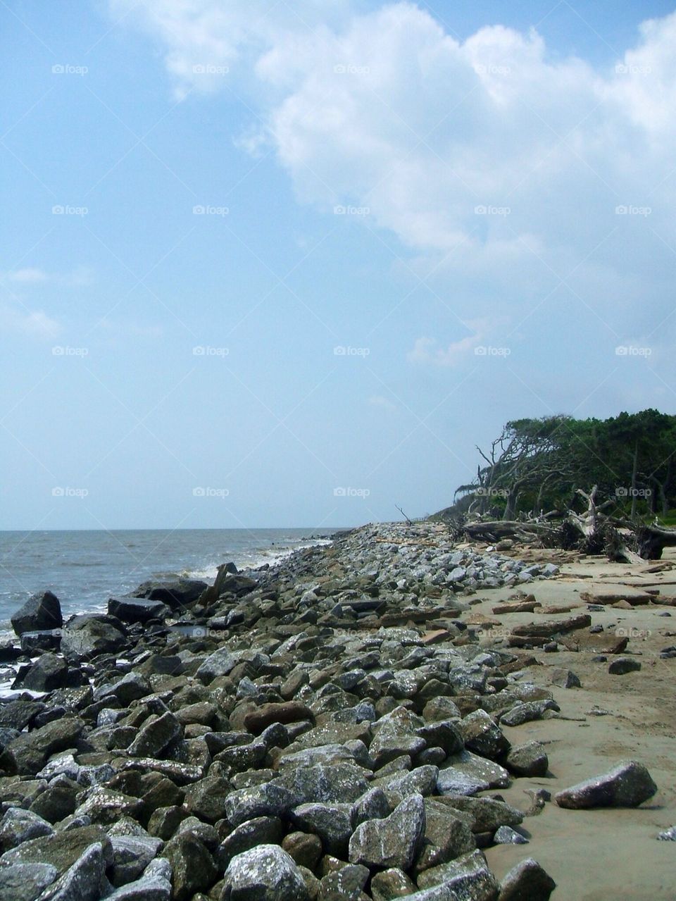 Rocky shore