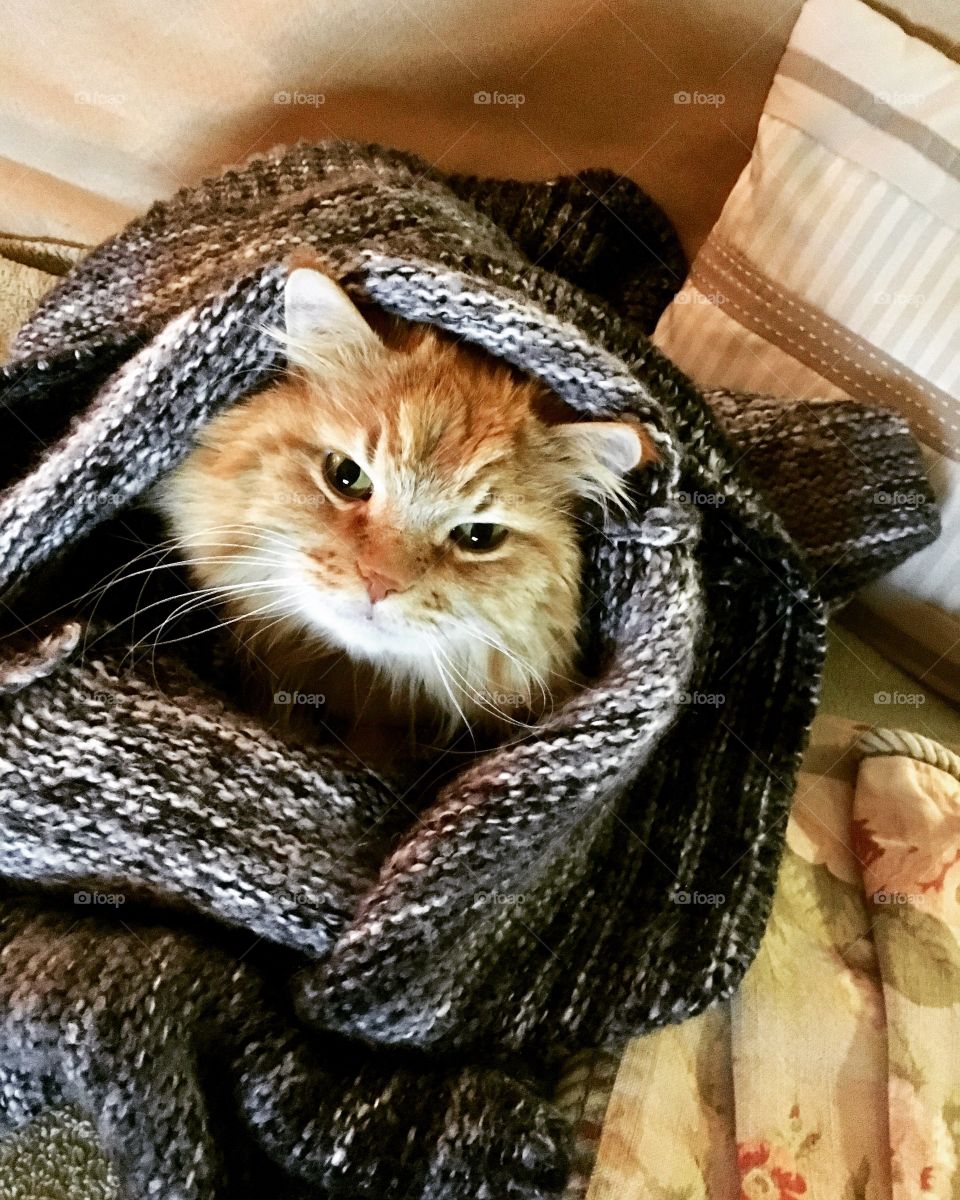 Baby Leo keeping warm in a wool sweater 