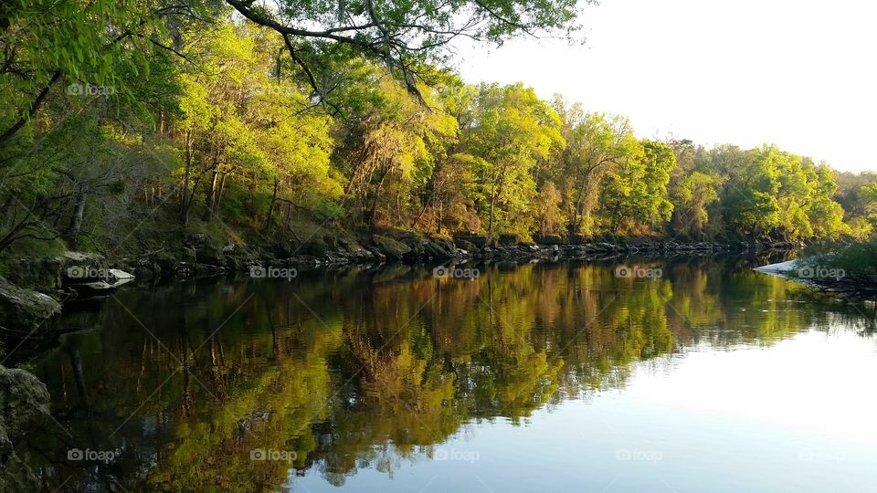 reflections on the Suwannee