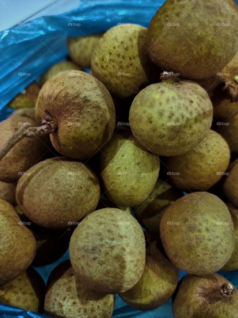 Longan fruit (Dimocarpus longan) is a
plant belonging to the Lerak-lerakan tribe or Sapindaceae. fruit from Asia, the same family of lychee.