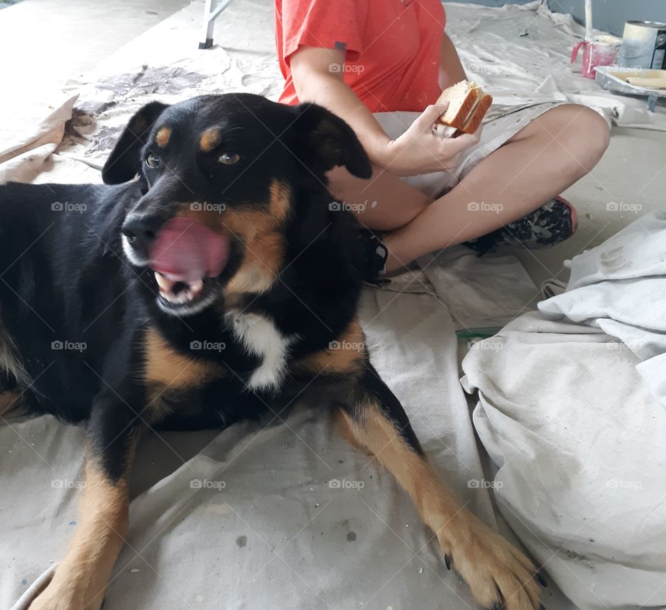 Sharing Lunch at work