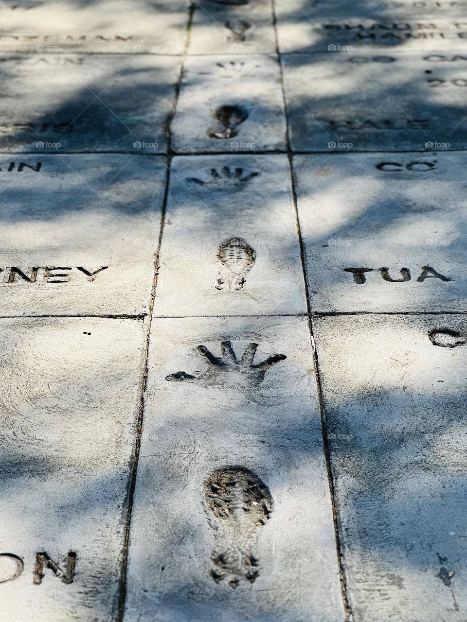 Low angle view of historic college walkway, with the foot and handprints of past athletes 