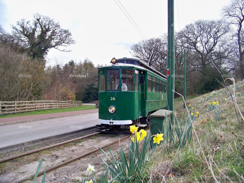 Tram in Spring. Tram 26 at Beamish Museum
