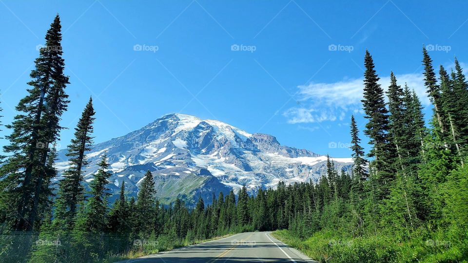 mt Rainer