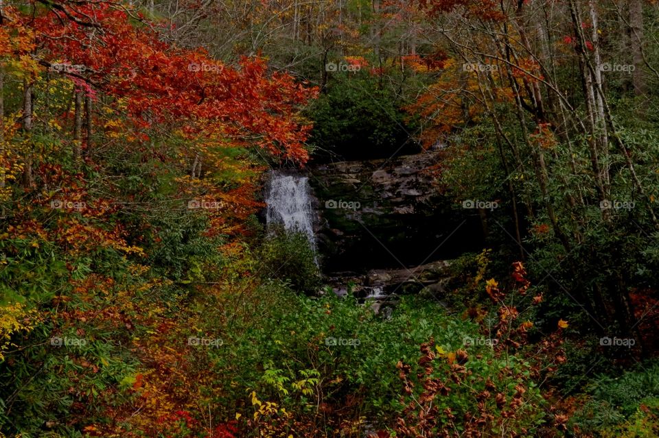 Waterfall amid fall colors