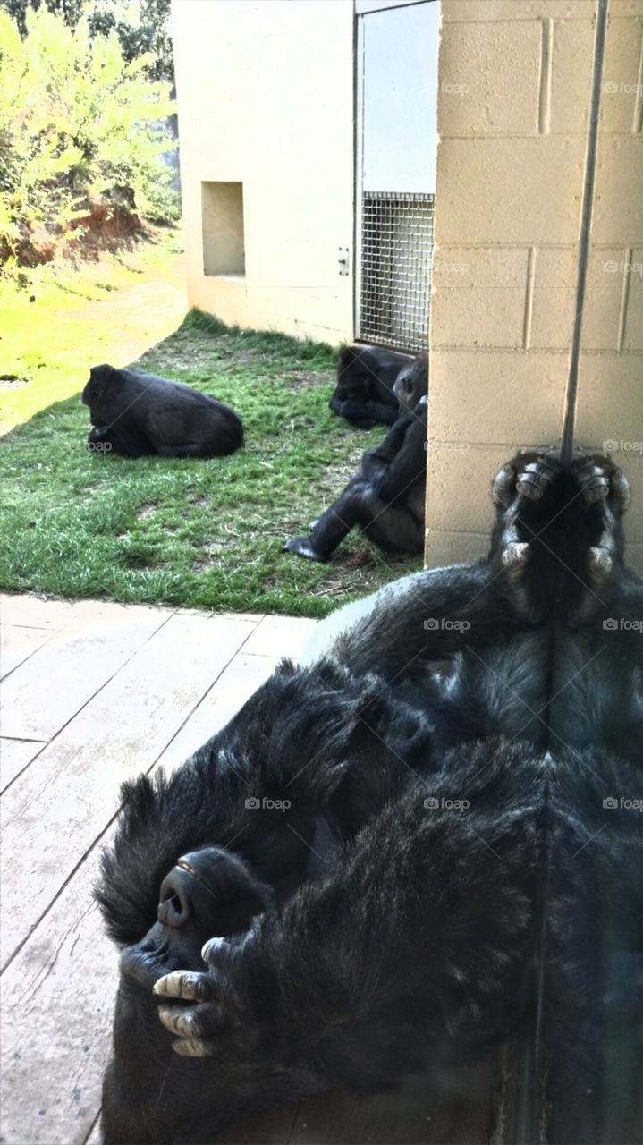 It's been a long day.