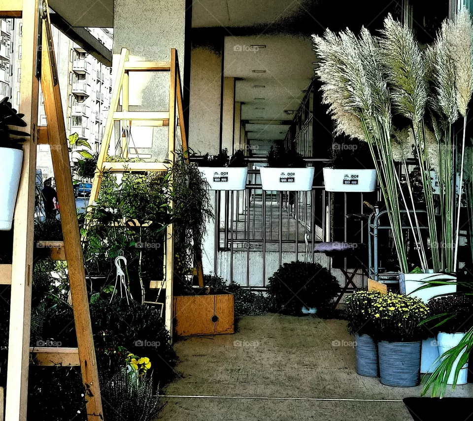 flower shop