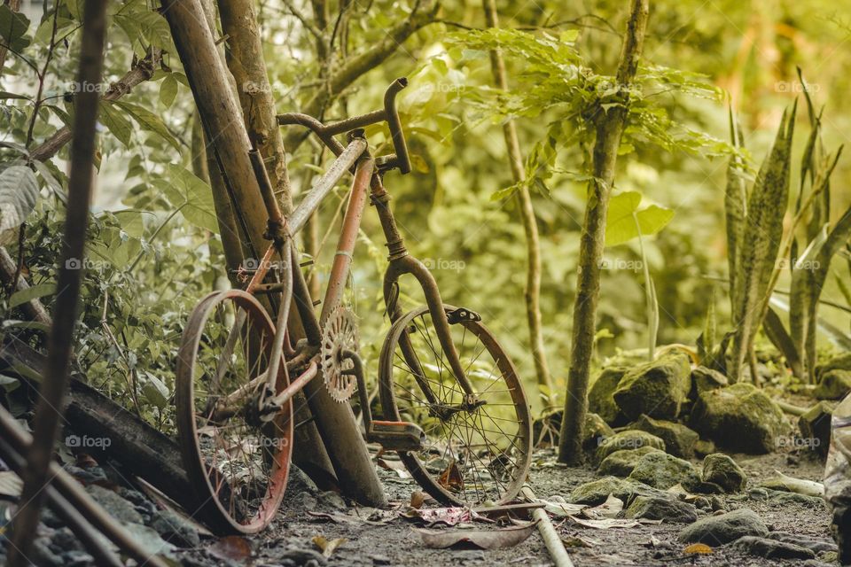 broken bicycle in the yard