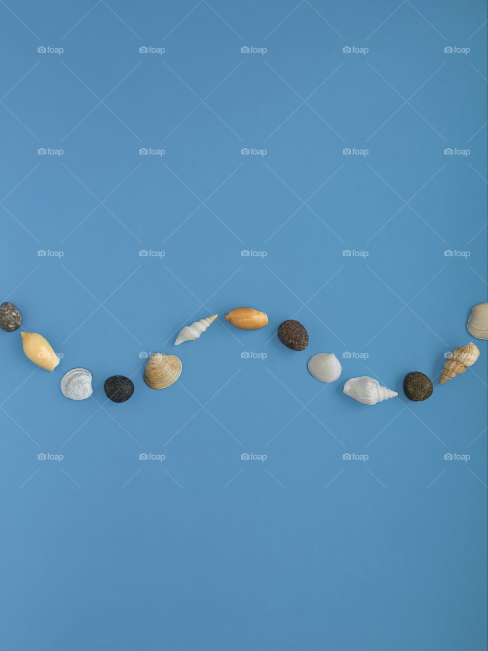 Seashells against blue background