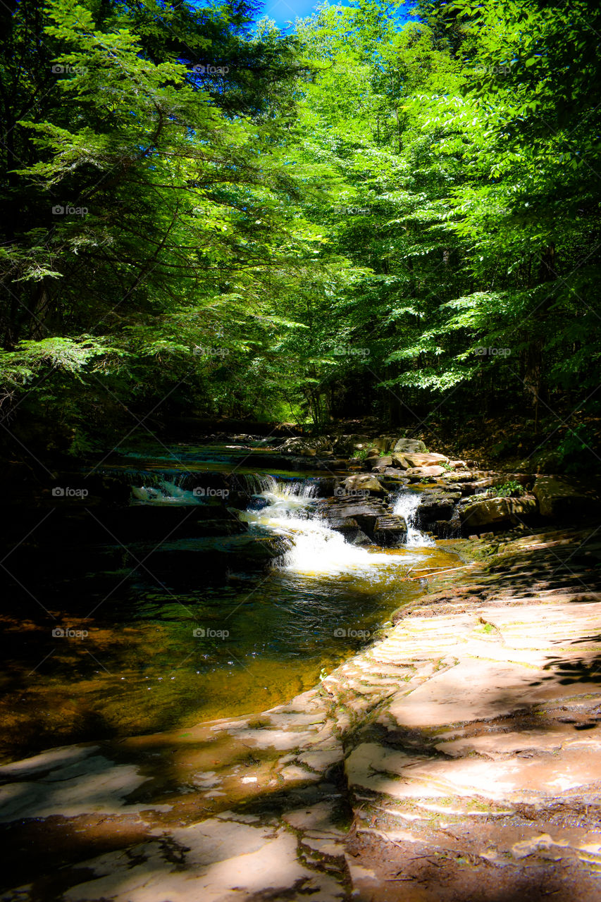 Don't go chasing waterfalls