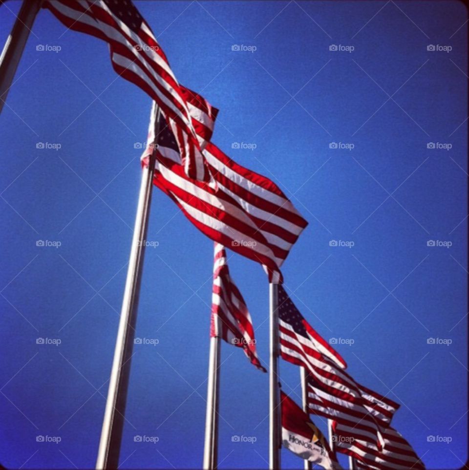 American Flags in the wind