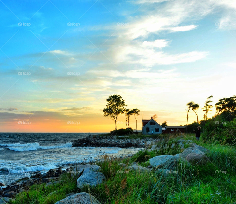 beach sky tree sunset by spidercam