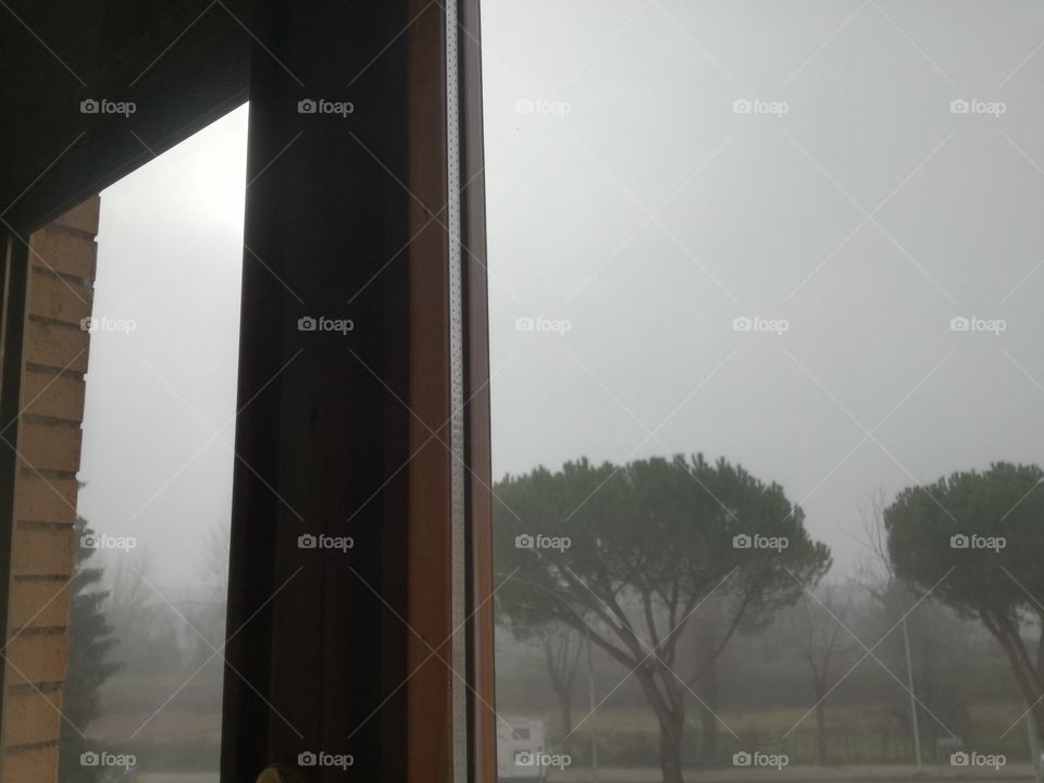 Fog every day. It's winter !!! I'm good inside
