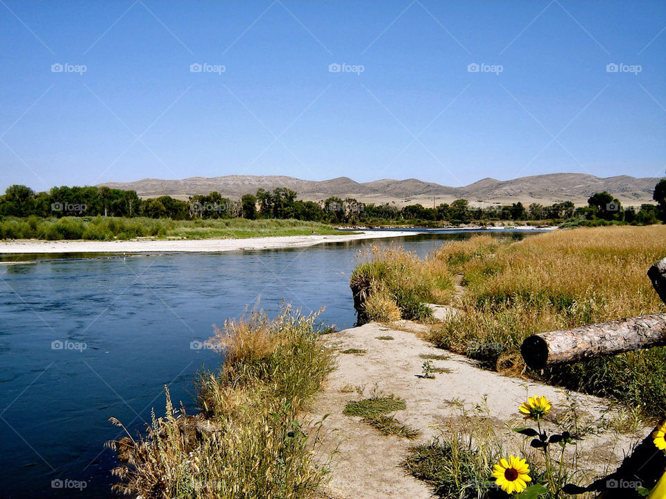 flower water mountains bank by refocusphoto