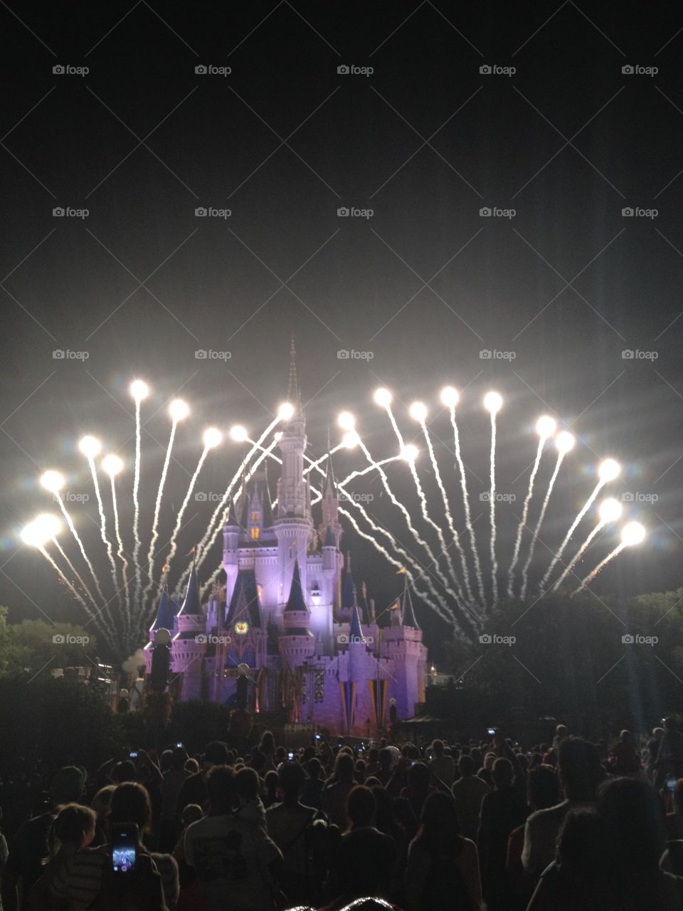 Magic Kingdom Celebration 