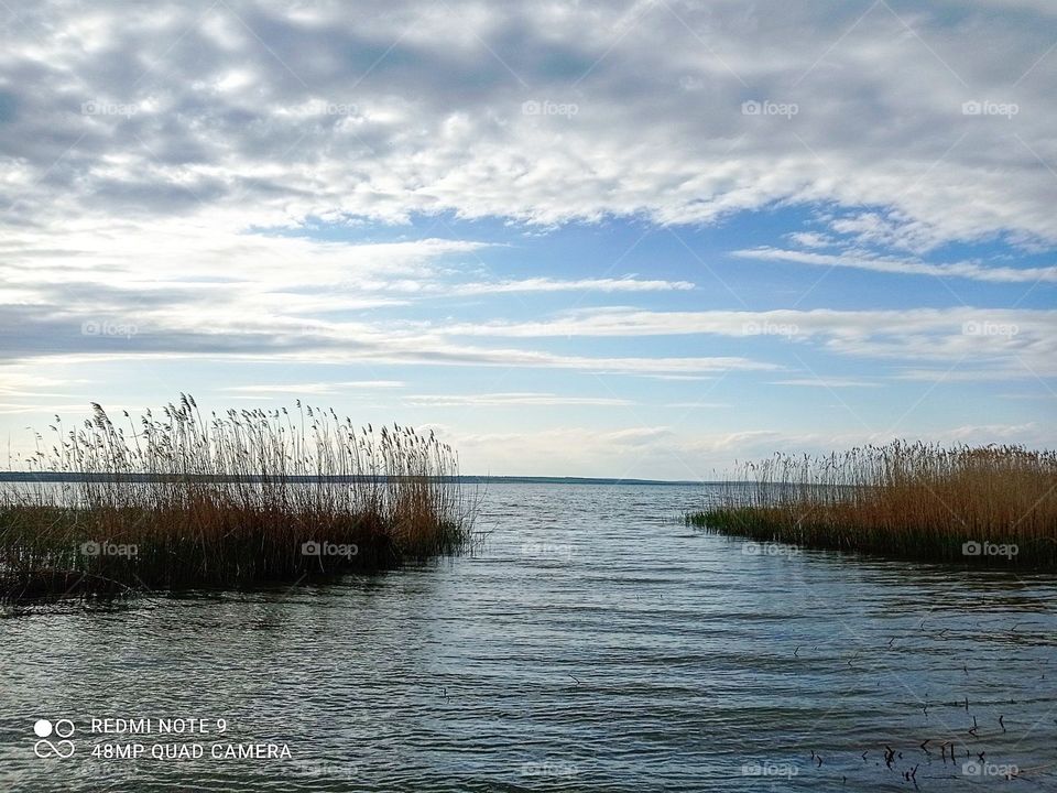 ***Шумел камыш***