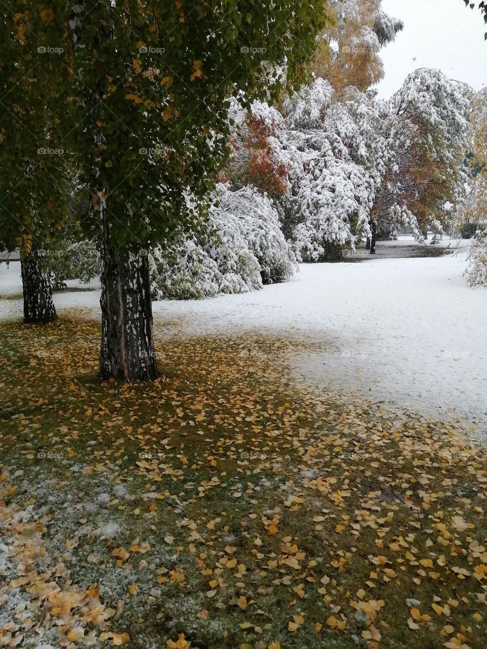 Snow in September