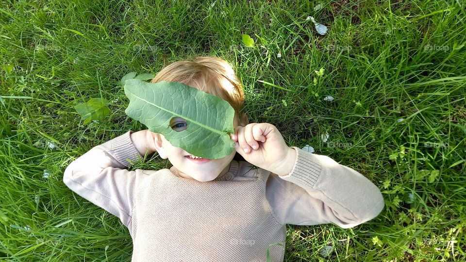 little boy with a leaf on his face