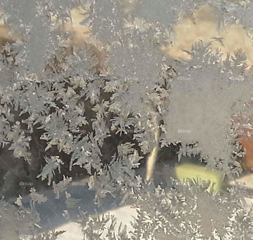 Ice on Window