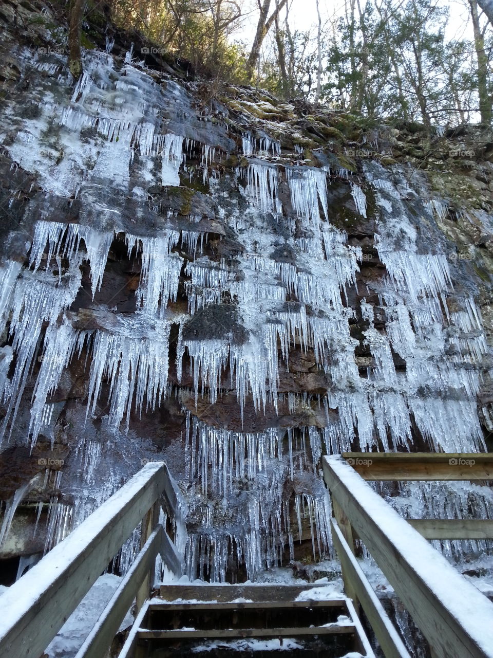 Wall of icicles