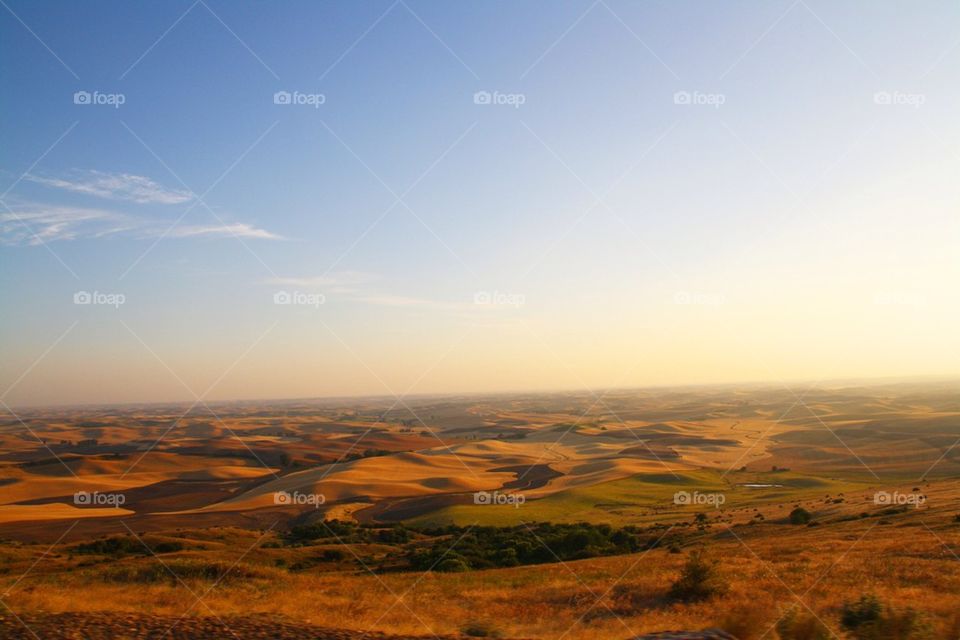 Palouse hills