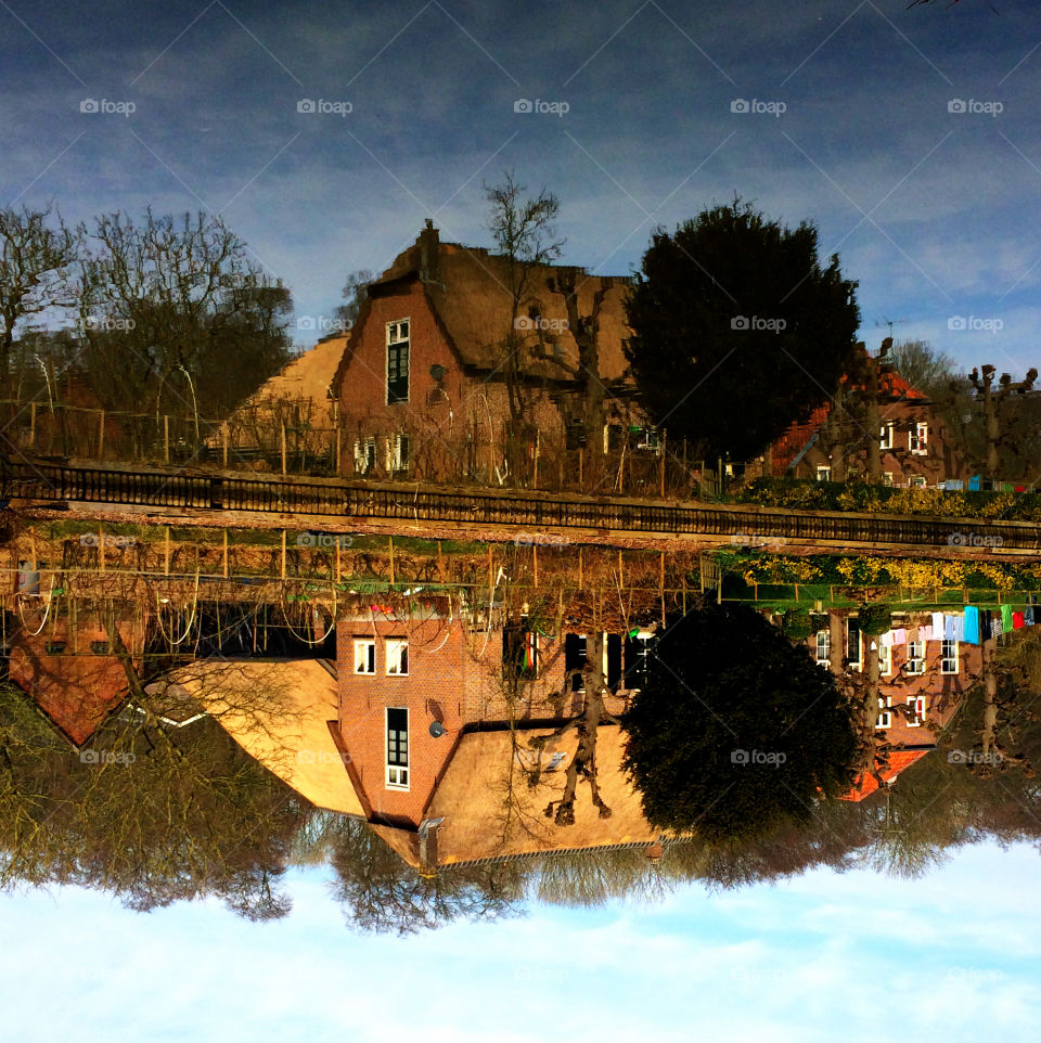 Dutch farmhouse. Dutch farmhouse water mirror image