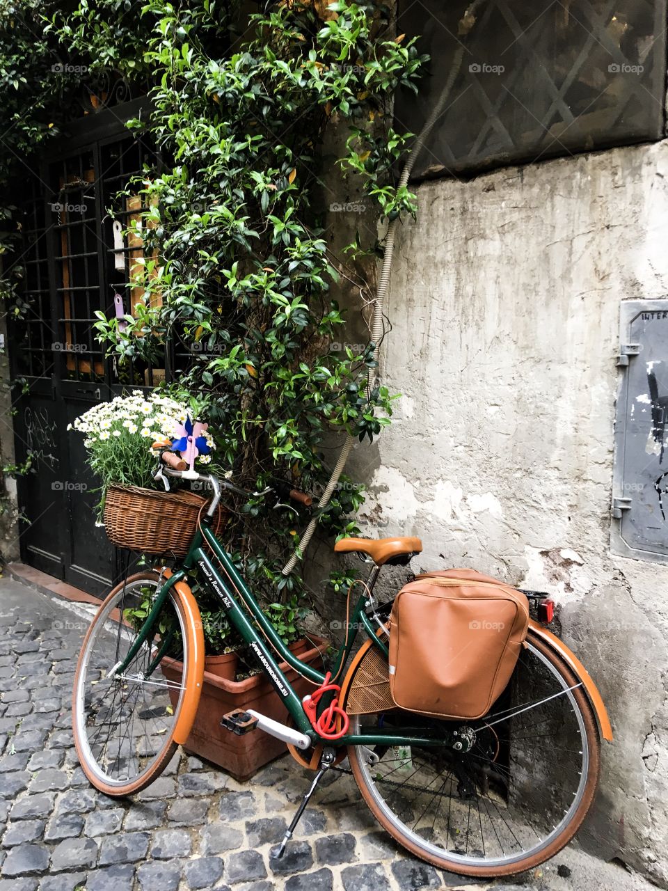 The bicycle with a flower basket. Roma. Italy. 