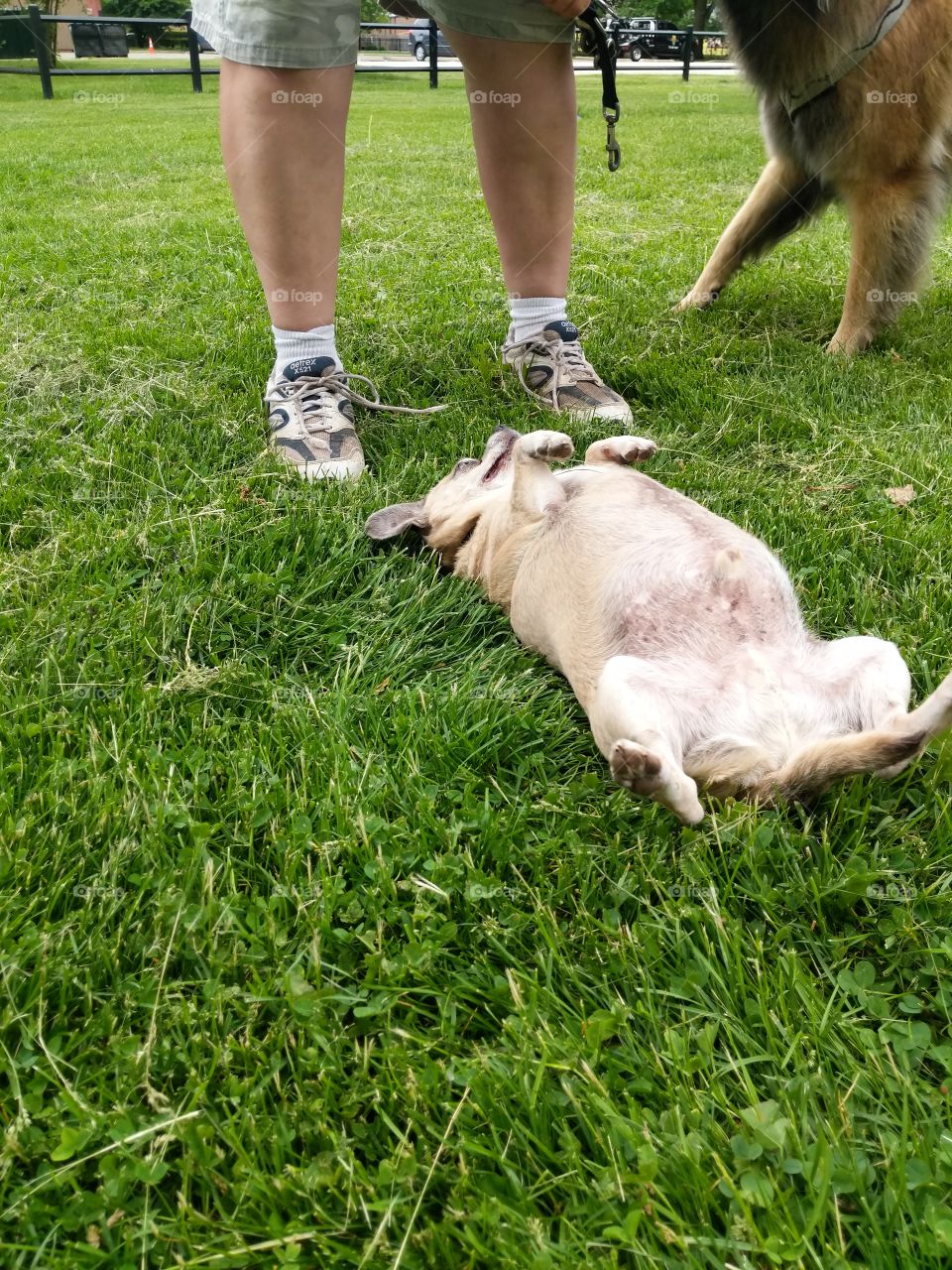 Help me to roll back!