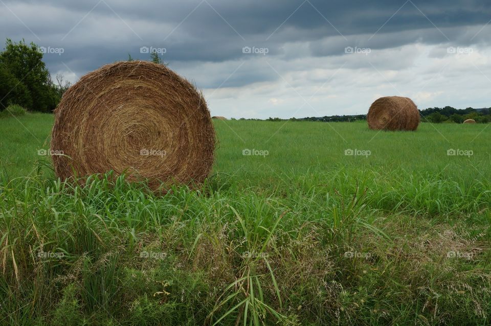 Gods country landscape. Photo taken in Oklahoma, July 2015. Shows typical landscape with hay bail roll, green grassy field & overcast stormy sky