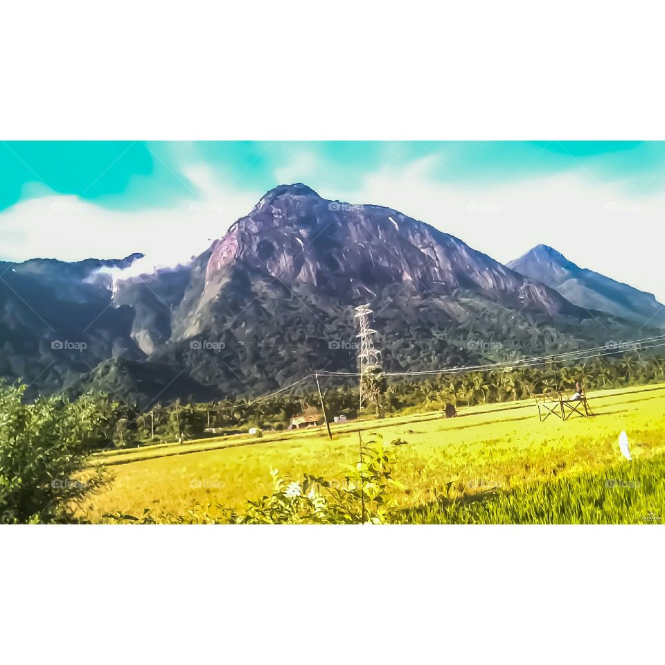 nelliyampathy hills view from bottom