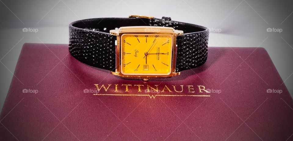 Wittnauer Watch