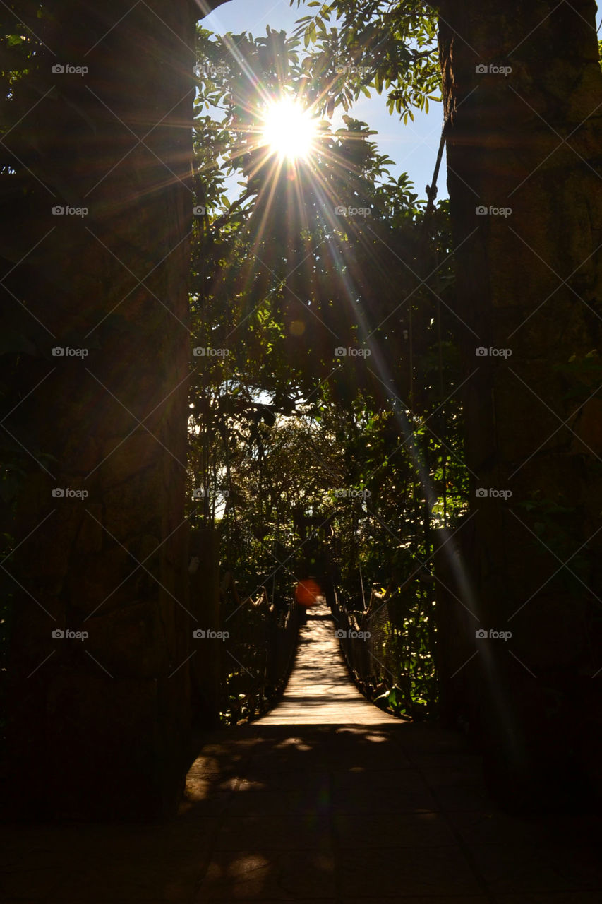 Sunrays over the bridge