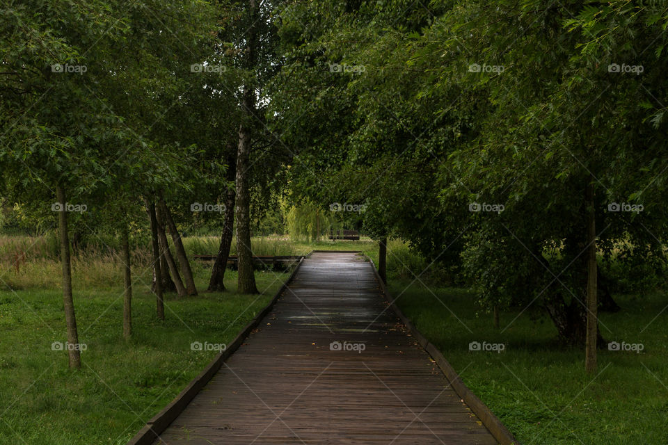 β π³ Ecological Promenade / Walking Path In Ronald Reagan Park. Gdansk. Poland
β π This Is One Of The Newest Parks In The City, Earlier In Its Place There Were Wastelands, Abandoned Forest And Allotments