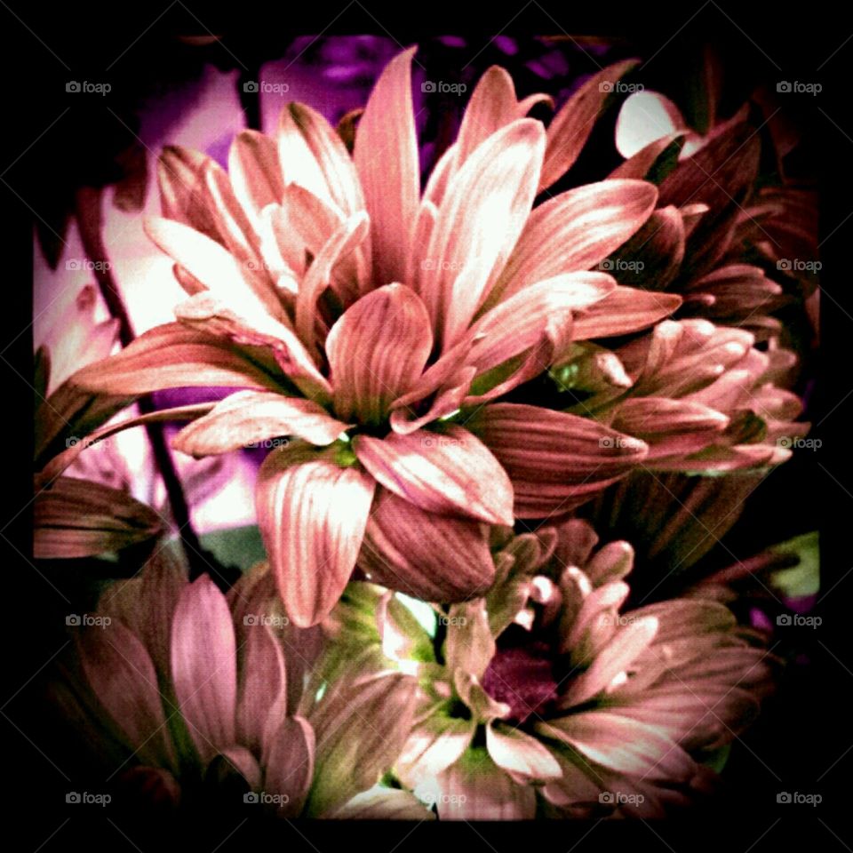 graceful. lighting effects