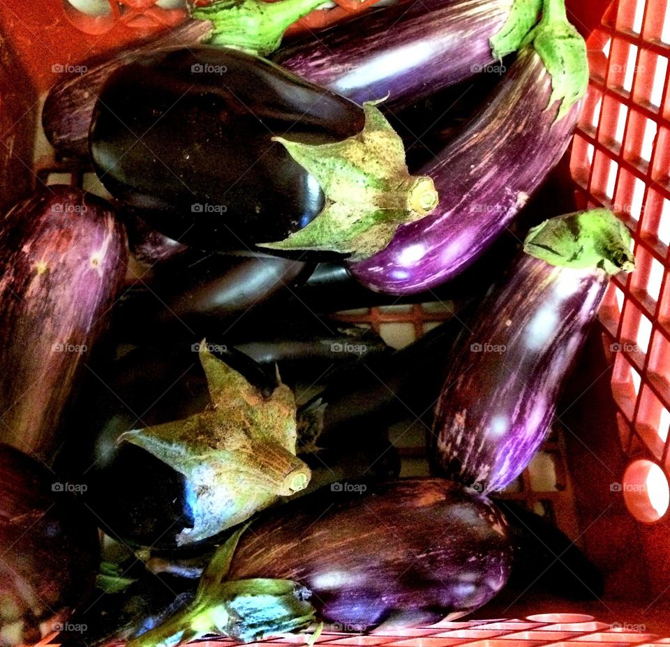 Bushel of Aubergine