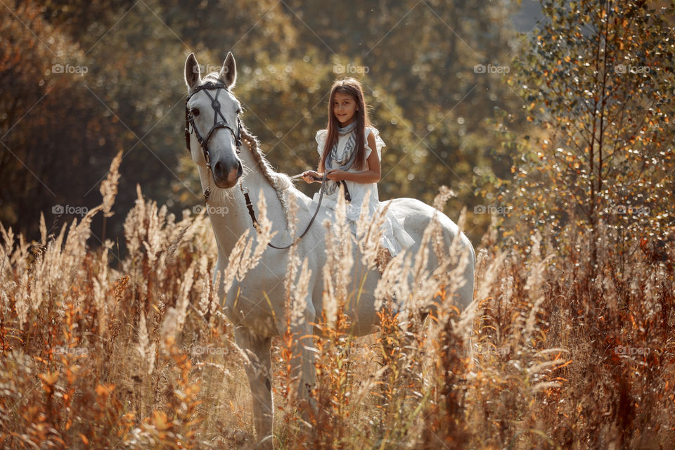 Little girl with grey horse in autumn park 