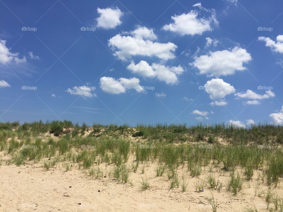 Sand dune 