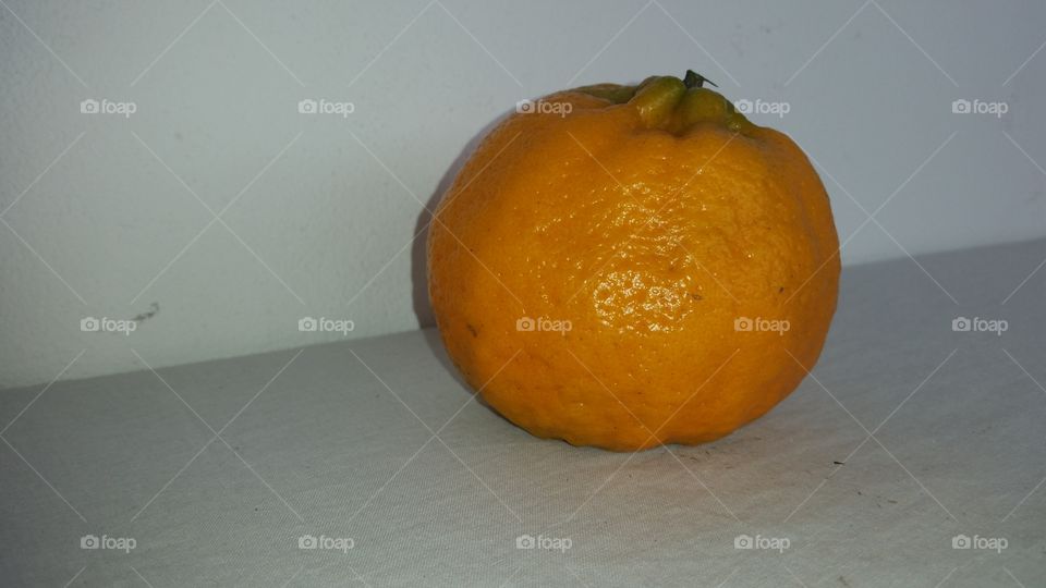 citrus