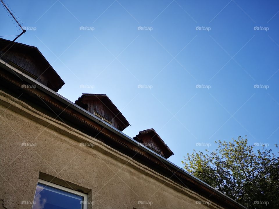 Look up and get lost