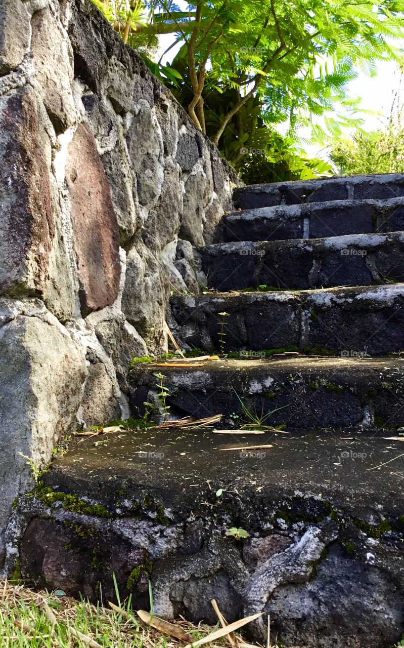 Lava stairs leading to a lush rainforest