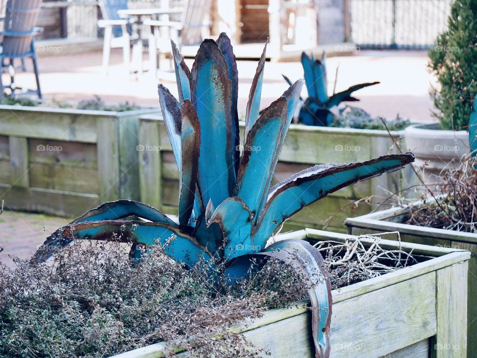 Metal art. Succulent plant outside of a restaurant. 