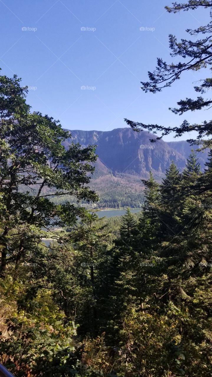 view from beacon rock