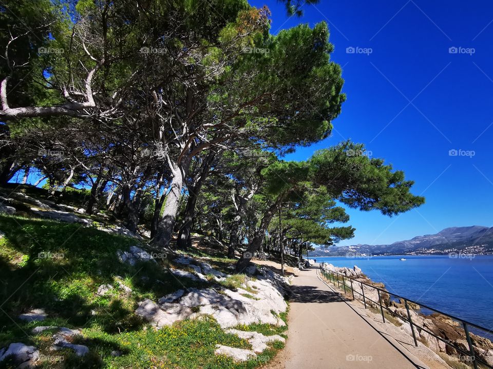 Beautiful view in Cavtat