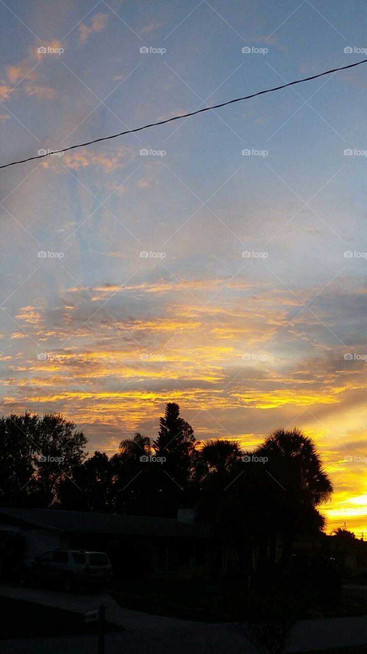 Landscape, Sunset, Light, Sky, Tree