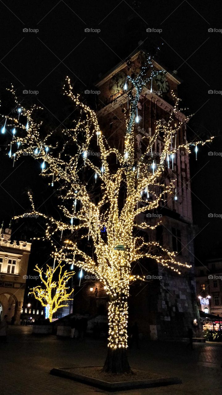 Lighted trees in the Old Town Square, Krakow, Poland